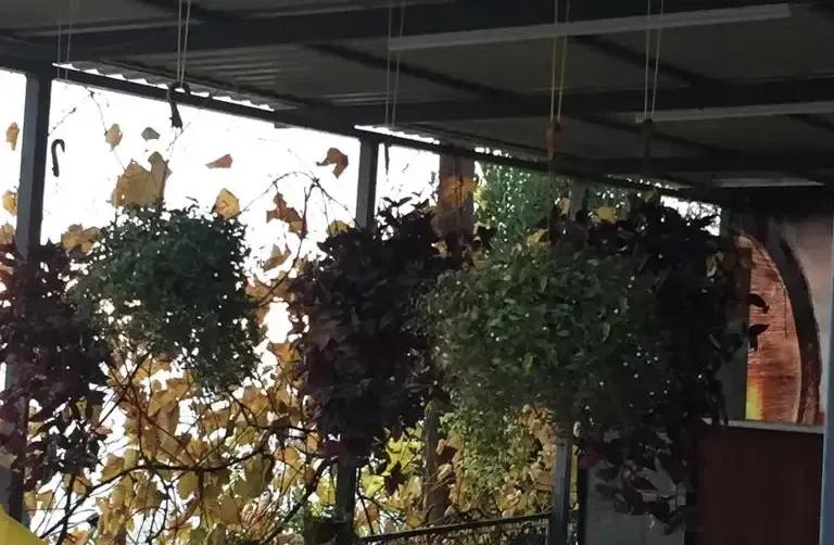 Частный дом «Аракс» — фото 3