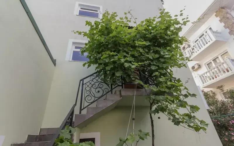 Комнаты «Фазелис» — фото 3