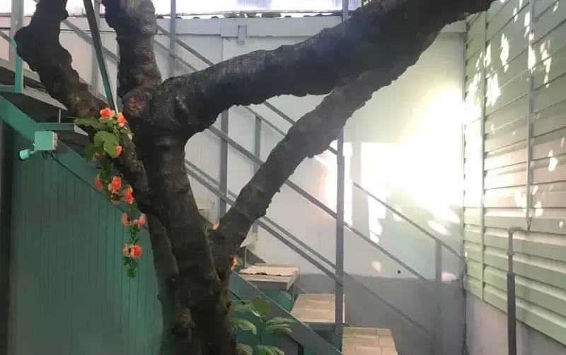 Частный дом на Греческой — фото 3