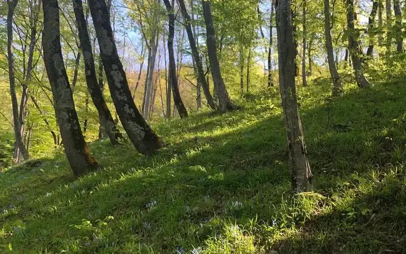 Частный сектор «Весна» — фото 3