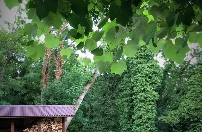 Частный дом «Spring house» — фото 5