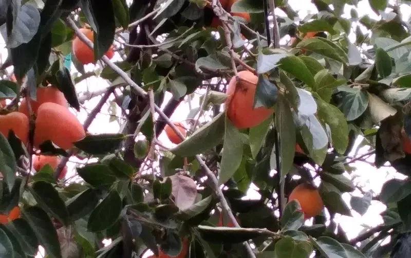 Комнаты на Прибойной 8 — фото 5