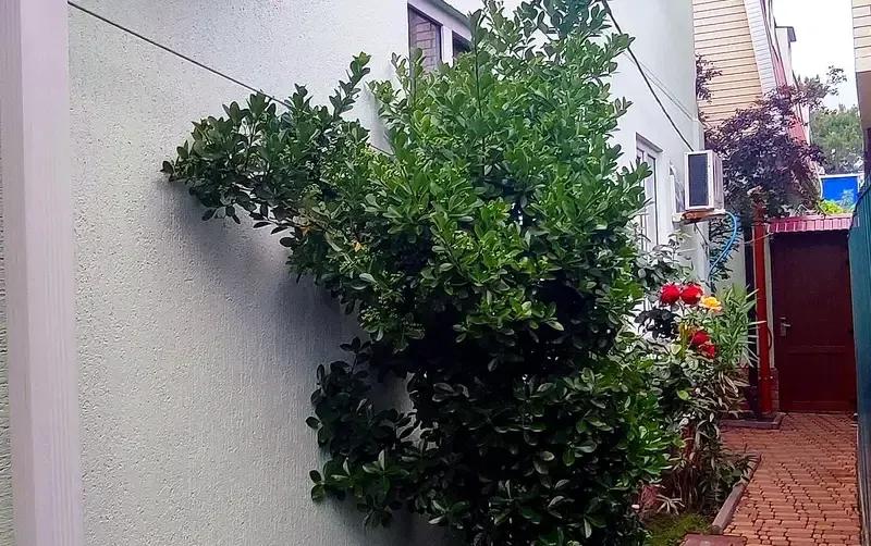 Частный дом в центре на ул. Кирова — фото 4