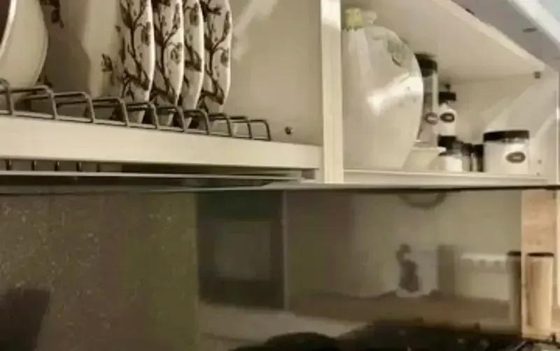 Двухкомнатная квартира на Прасковеевской — фото 2