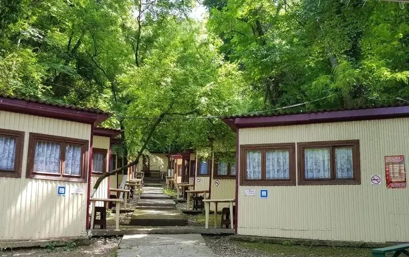 Кемпинг «Море сосен» — фото 2