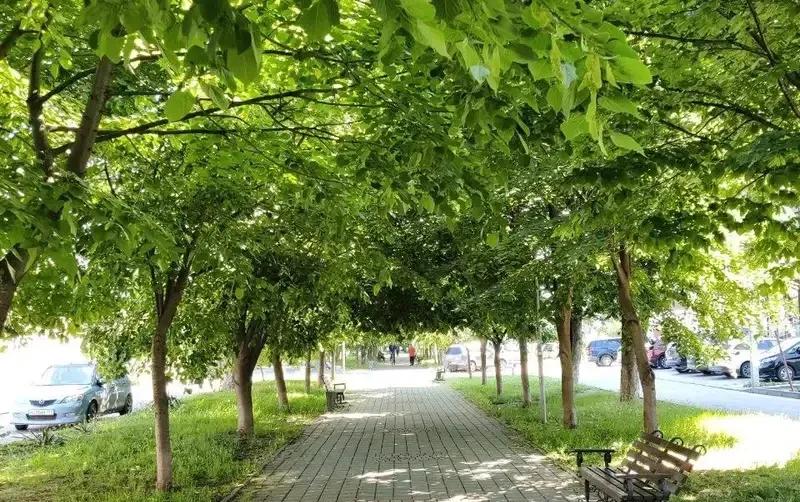 Дом на Кати Соловьяновой — фото 3