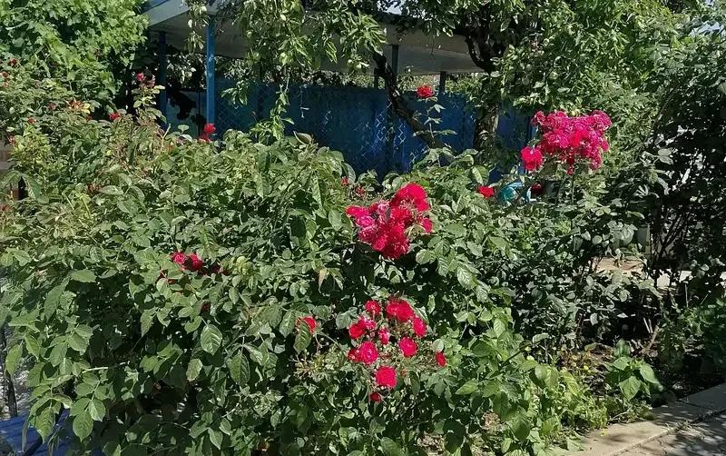 Частный сектор на Делегатской