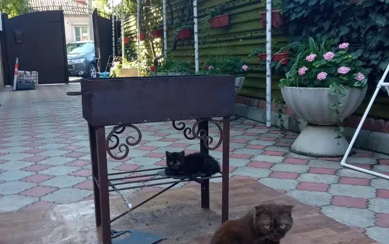 Дом под ключ в Ейске — фото 3