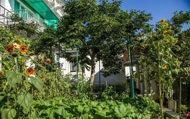 Гостевой дом «У Афанасия» — фото 4