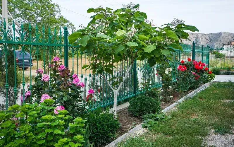 Гостевой дом «Мальва» — фото 3