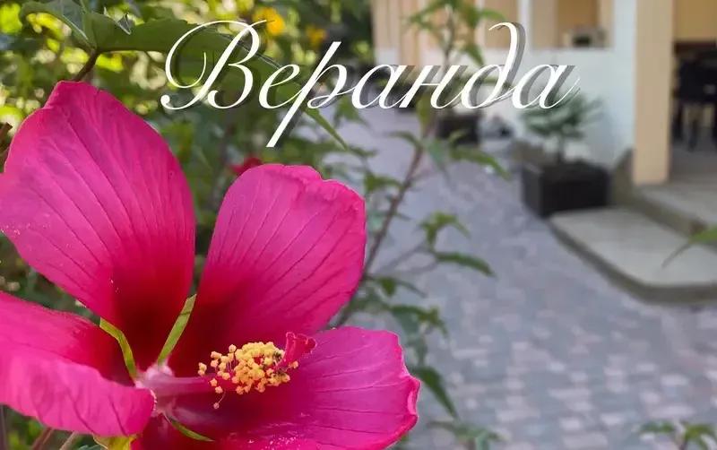 Частное домовладение «Веранда» — фото 4