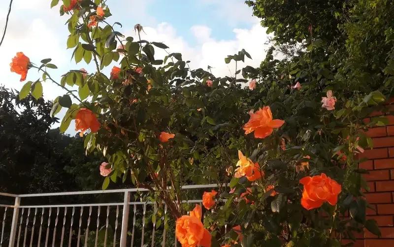 Частный дом «Винтаж» — фото 2