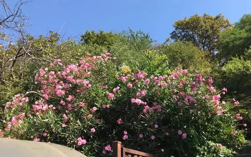 Частный сектор «У Зинаиды»