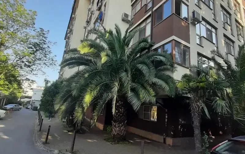Студия у моря в Сириусе — фото 2