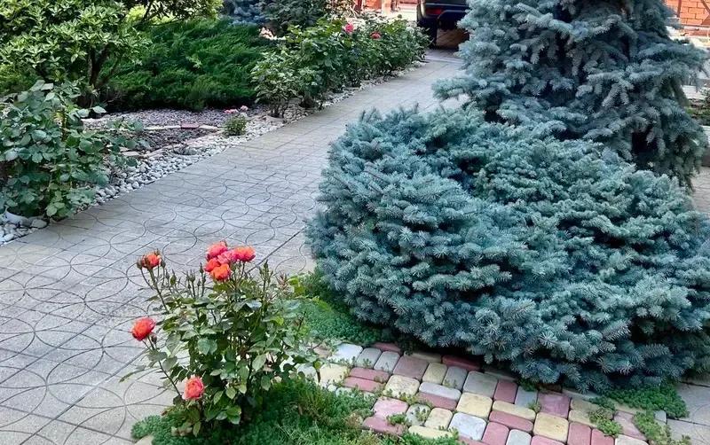 Частный дом «Аритэль» — фото 2