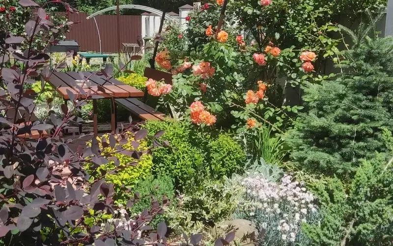 Дом под ключ «Green House»