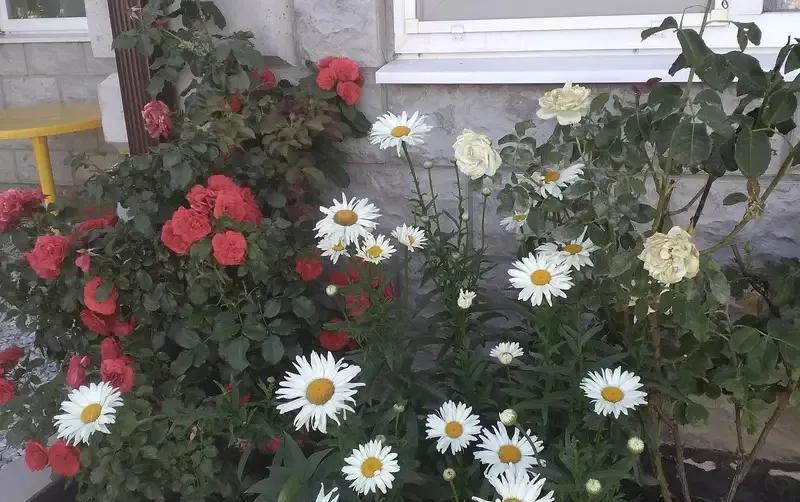 Частный дом «Отдых» — фото 4