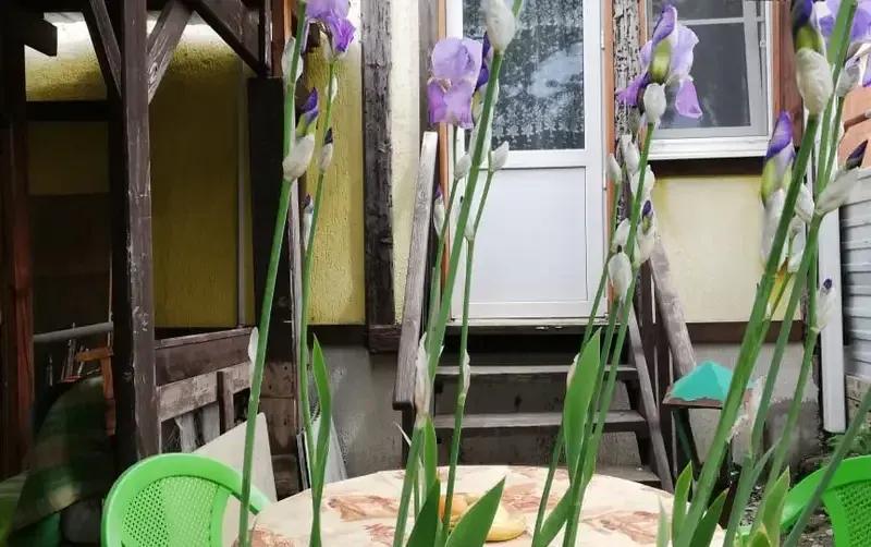 Часть дома под ключ — фото 5