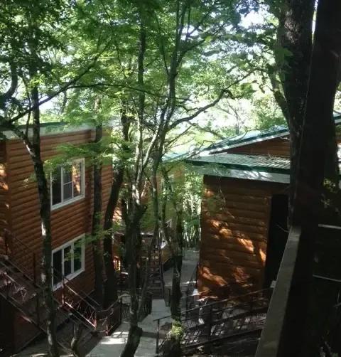 База отдыха «Тихий лес» — фото 2