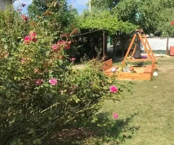 Эко домики на Лазурной — фото 4