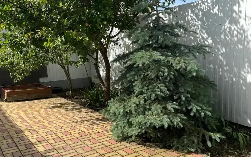 Дом под ключ на Романа — фото 5