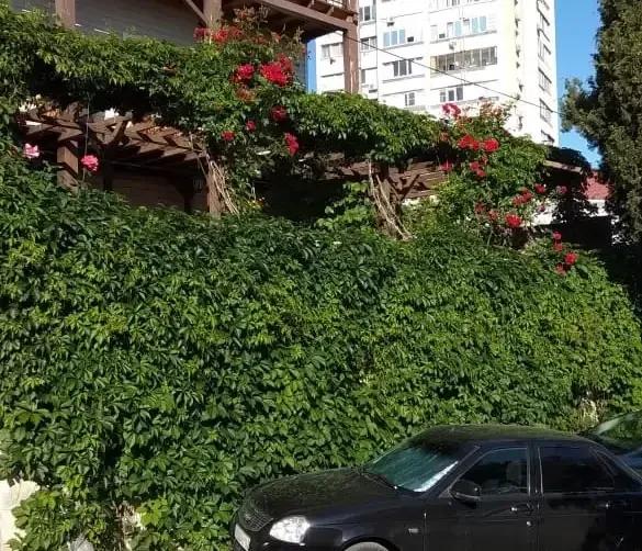 Меблированные комнаты в частном секторе — фото 2