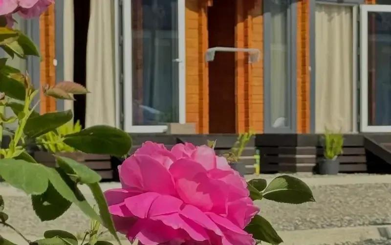 Домики Eco_houses «Family» — фото 3