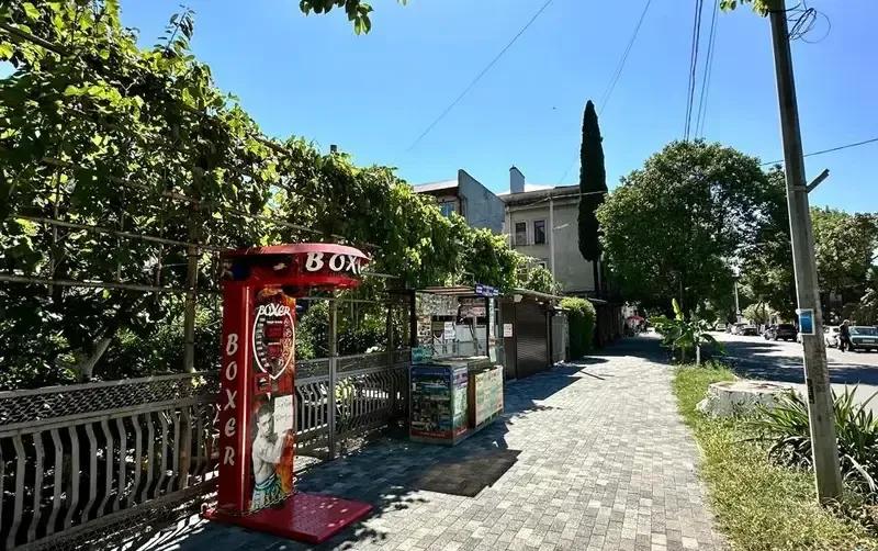 Частный дом на Ардзинба — фото 3